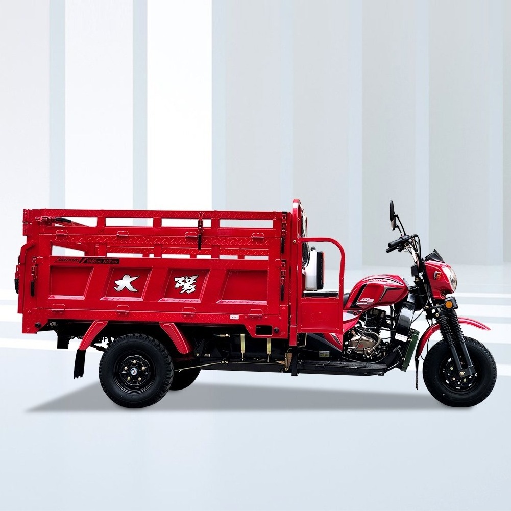 DAYANG Truck Cargo 3wheels Motorcycle Tricycle Clearance Customized Power Wheels Mechanical Method Origin Type