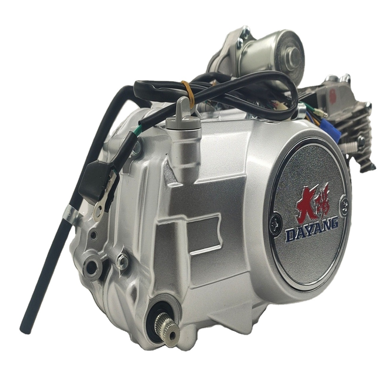 2021 hot selling Lifan DAYANG 125CC air cooling engines assembly for tricycles made in Chongqing factory direct supply