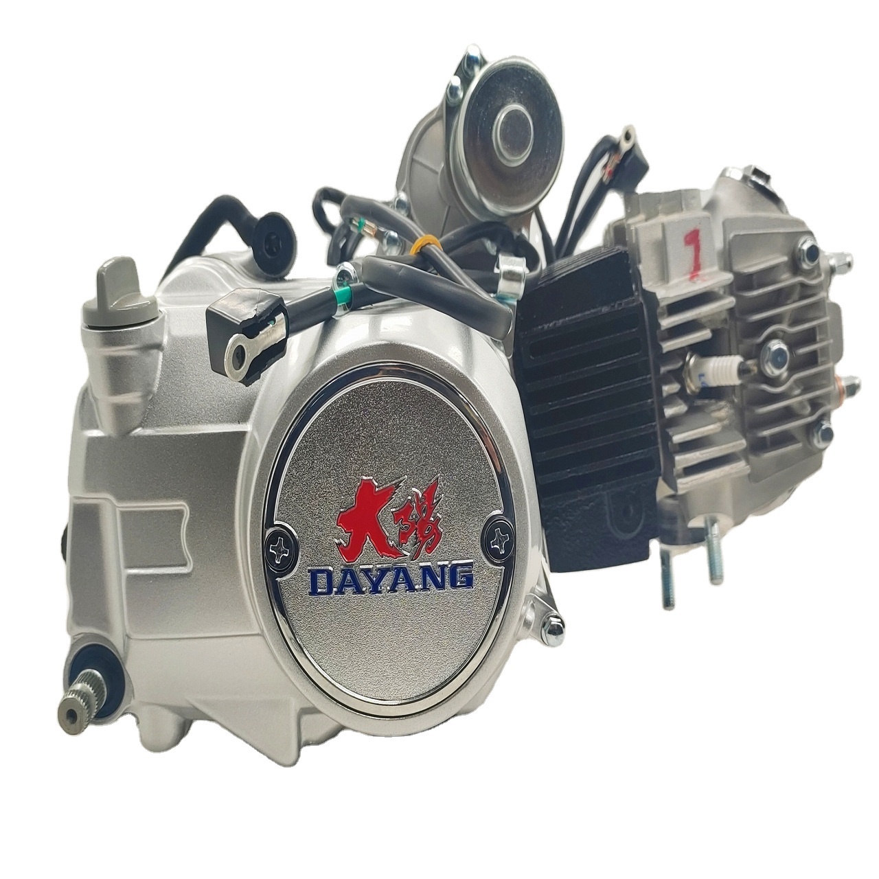 DAYANG Complete Motorcycle  Nature 110CC Engine China Cylinder Style A Class Origin High Quality Ignition Style Origin CCC