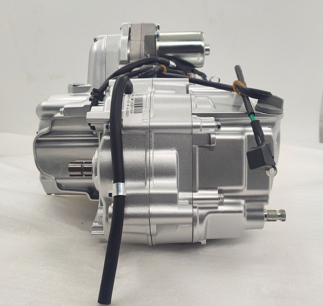 2021 hot selling Lifan DAYANG 125CC air cooling engines assembly for tricycles made in Chongqing factory direct supply