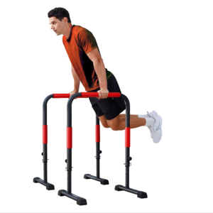 Factory Supply Chin Up Station Dip Stand Portable Split Dip Parallel Bar For Sale