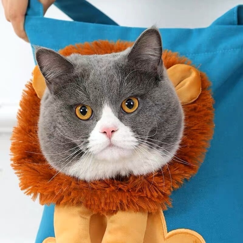 Hot Sell  Comfort Pet Cat Carrier Little Lion Styling One Shoulder Cat Dog Small Pet Canvas Go Out Tote Pet Bag