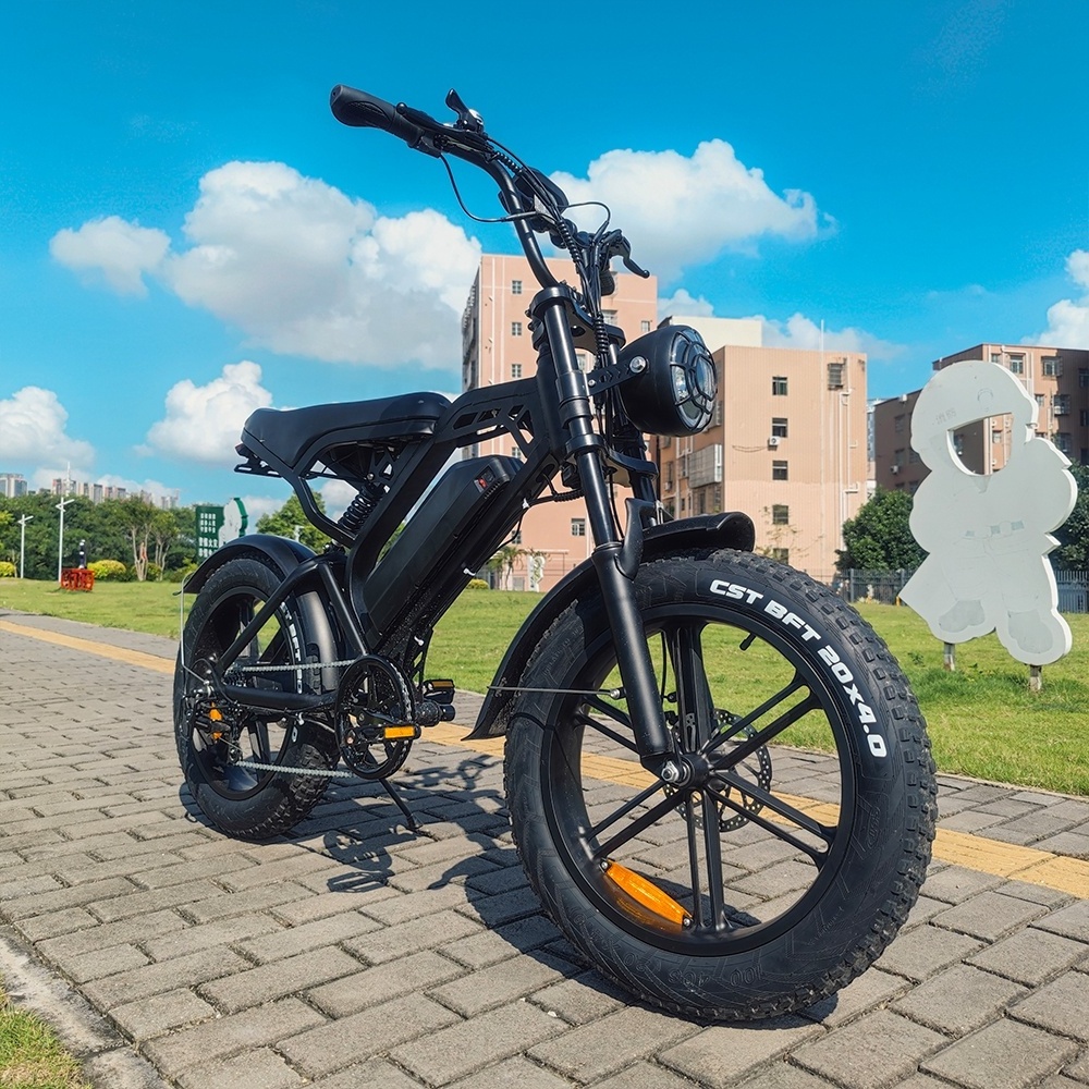 20inch  1000W 48V Electric Bike Ready Stock Ebike Mountain Electrically Mountain Fatbike Vtt Electrique Hybrid Bike