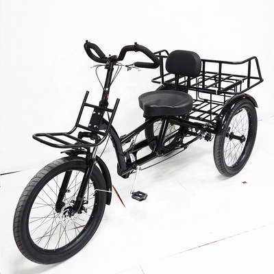 OEM Custom Adult Bike Electric Tricycle Cargo Bike 3 Wheel Bicycle Bike Tricycle Trike for Adult Tricycles Eec 36V Open 48v 10AH