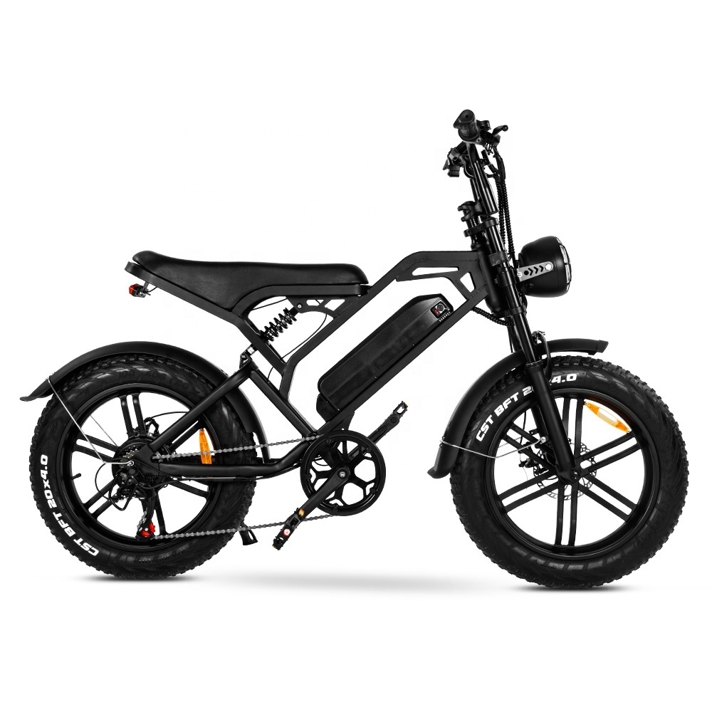 20inch  1000W 48V Electric Bike Ready Stock Ebike Mountain Electrically Mountain Fatbike Vtt Electrique Hybrid Bike