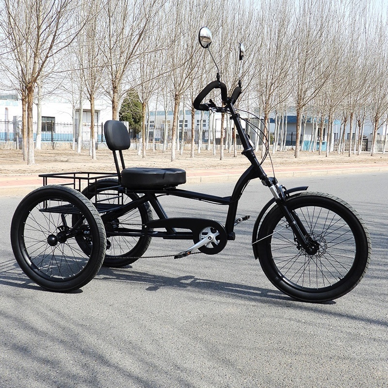 OEM Custom Adult Bike Electric Tricycle Cargo Bike 3 Wheel Bicycle Bike Tricycle Trike for Adult Tricycles Eec 36V Open 48v 10AH