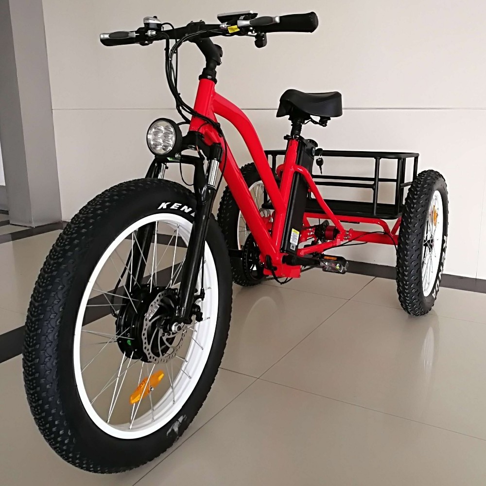 2024 500W 750W 3 wheel fat tire electric cargo bike tricycle electric family cargo bike 3 ruote electric cargo bike