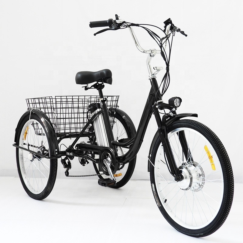 OEM Custom Adult Bike Electric Tricycle Cargo Bike 3 Wheel Bicycle Bike Tricycle Trike for Adult Tricycles Eec 36V Open 48v 10AH