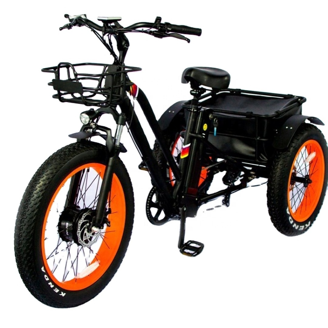 2024 500W 750W 3 wheel fat tire electric cargo bike tricycle electric family cargo bike 3 ruote electric cargo bike