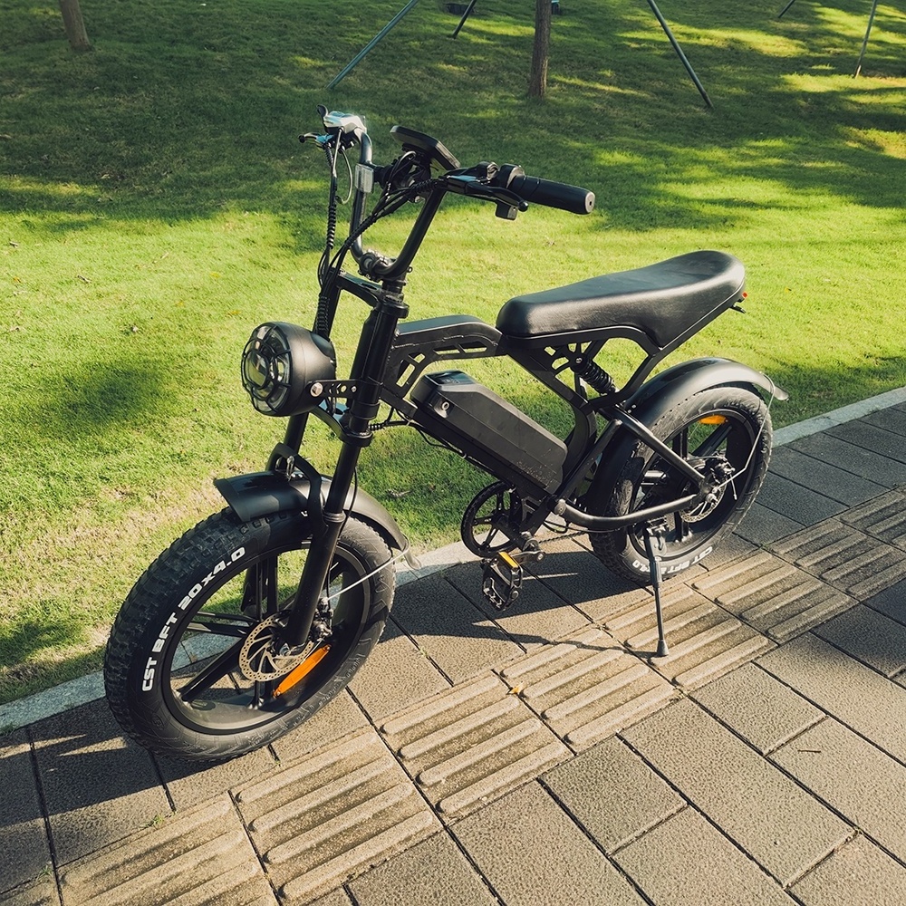 20inch  1000W 48V Electric Bike Ready Stock Ebike Mountain Electrically Mountain Fatbike Vtt Electrique Hybrid Bike