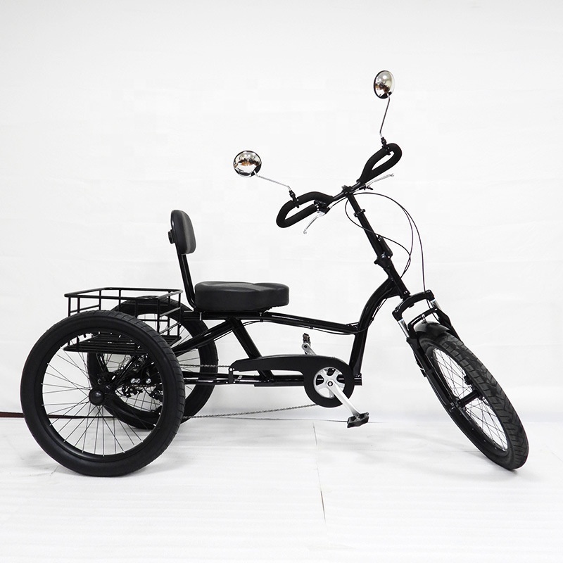 OEM Custom Adult Bike Electric Tricycle Cargo Bike 3 Wheel Bicycle Bike Tricycle Trike for Adult Tricycles Eec 36V Open 48v 10AH