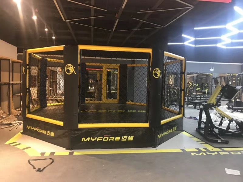 New International Standard High quality Boxing Ring MMA cage wrestling cage for export