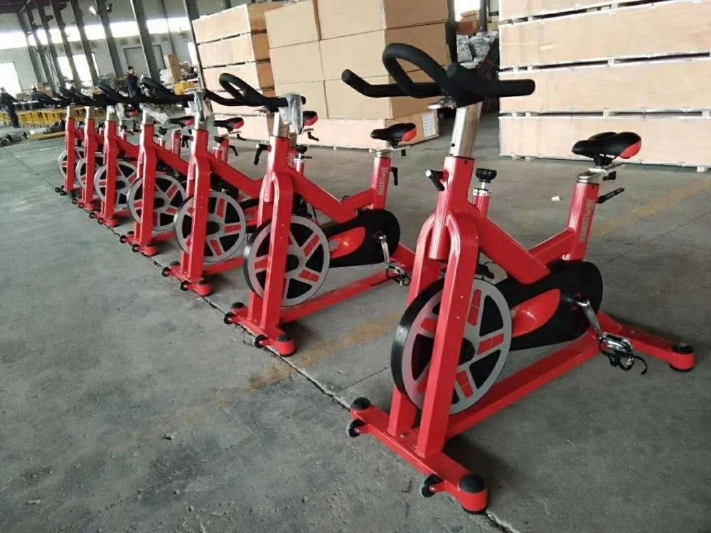 BRIGHTWAY XB06 Commercial Fitness Equipment Magnetic Bike/Spin Bike for sale