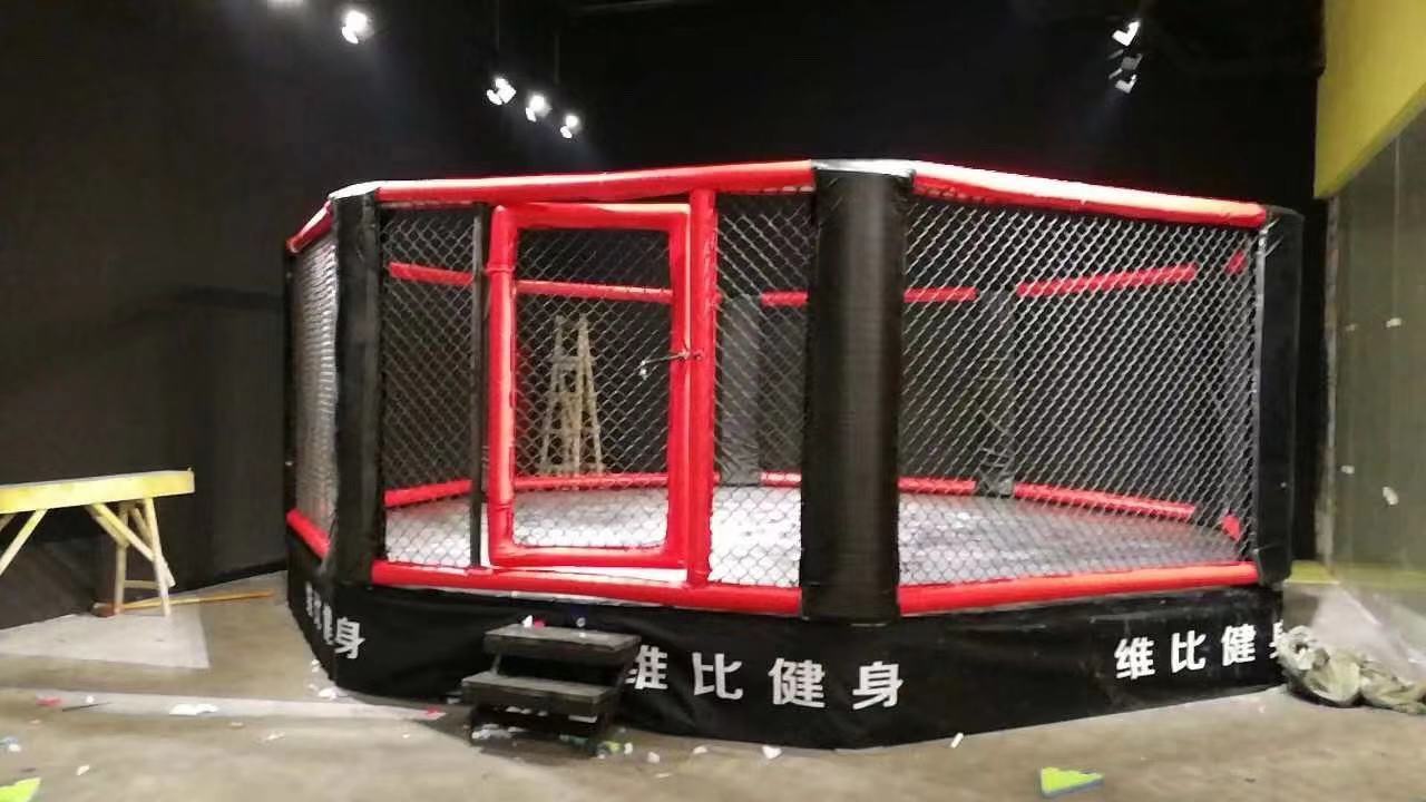 New International Standard High quality Boxing Ring MMA cage wrestling cage for export