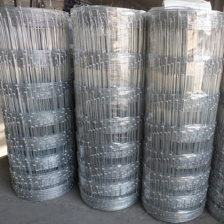 Philippines hog wire/pet fence fencing wire mesh