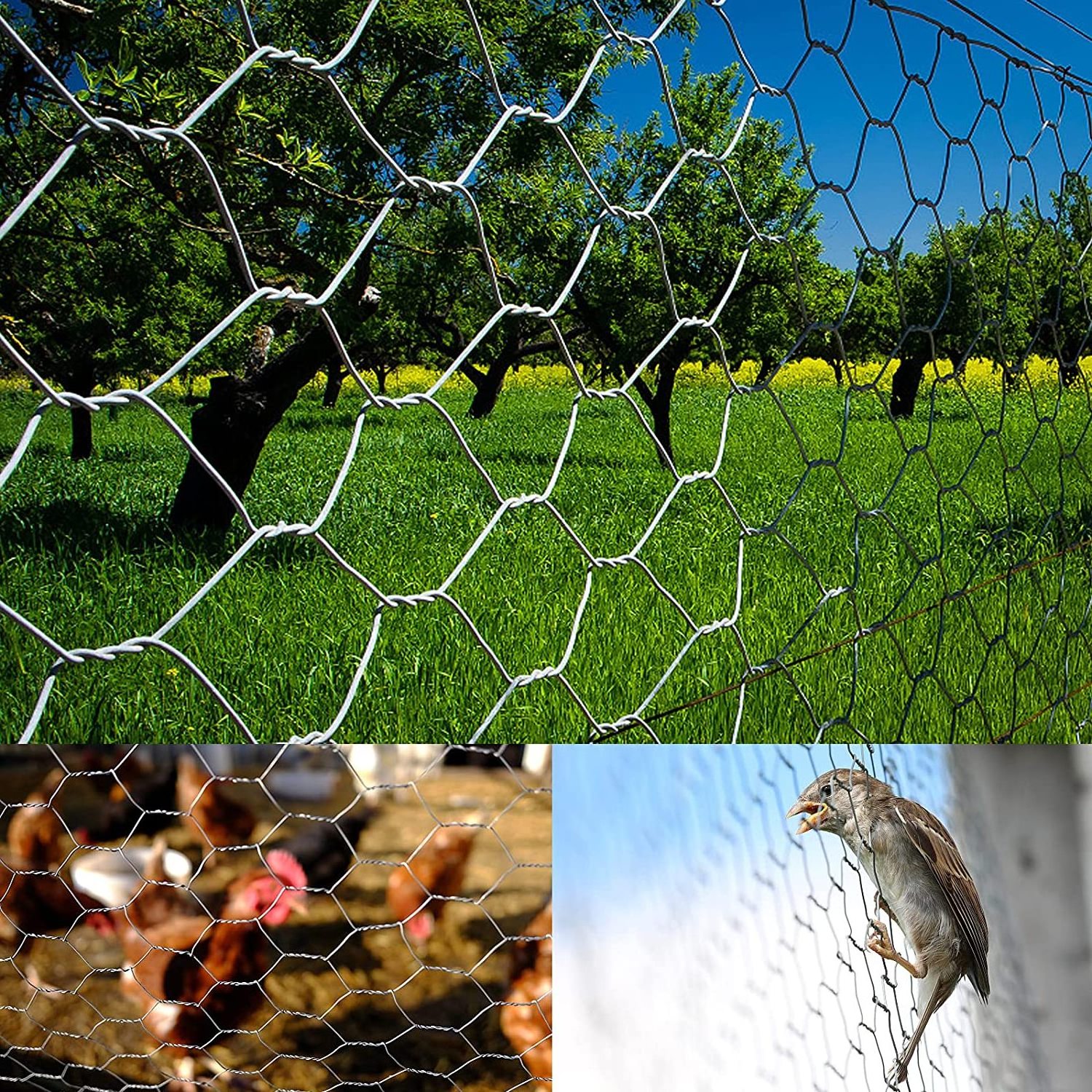 1/4 inch galvanized chicken wire mesh hexagon netting