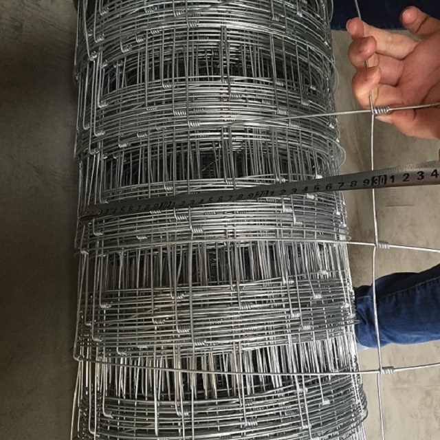 Philippines hog wire/pet fence fencing wire mesh