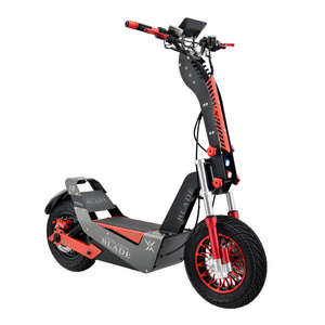 2024 New Powerful 4000W Foldable Two Wheel Fat Tire Off-road E-scooter For adults