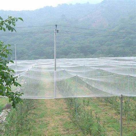 anti hail nets anti-hail 100% virgin hdpe knitted woven netting  for garden agro