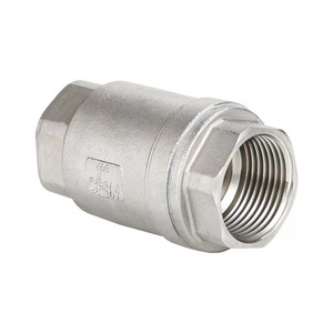 Water Vertical Small H12 Spring Flap Check Thread Lifting Type Non Return Drain Valve