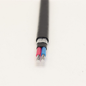 Construction Cable 2x16mm XLPE Insulated Concentric Aluminum Cable For Kenya Underground Electric Power Cable