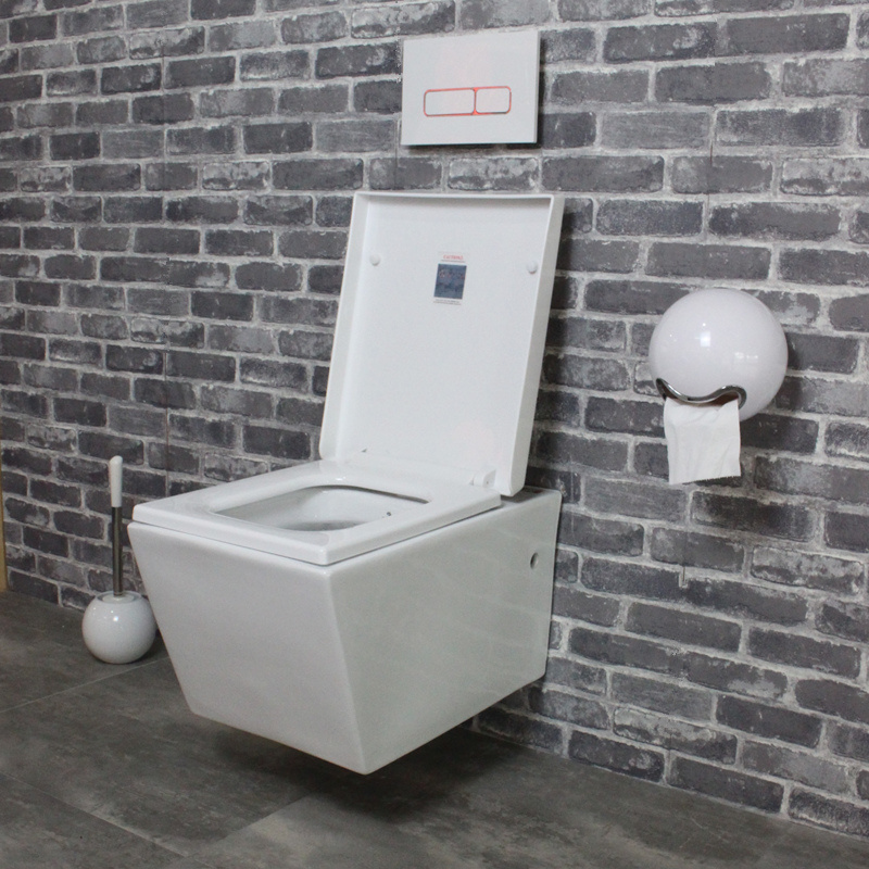 African Style  bathrooms wc wall hung toilet bowl with concealed water tank bathroom ceramic toilet Malaysia