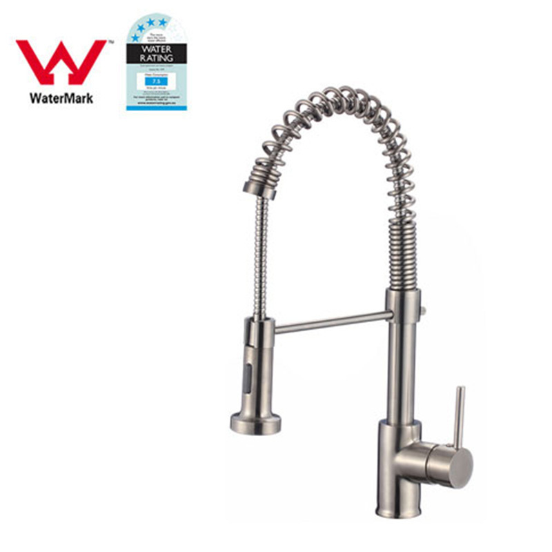 American Canadian Cupc  Brass Kitchen Water Faucet kitchen sink Brush Nickel faucet