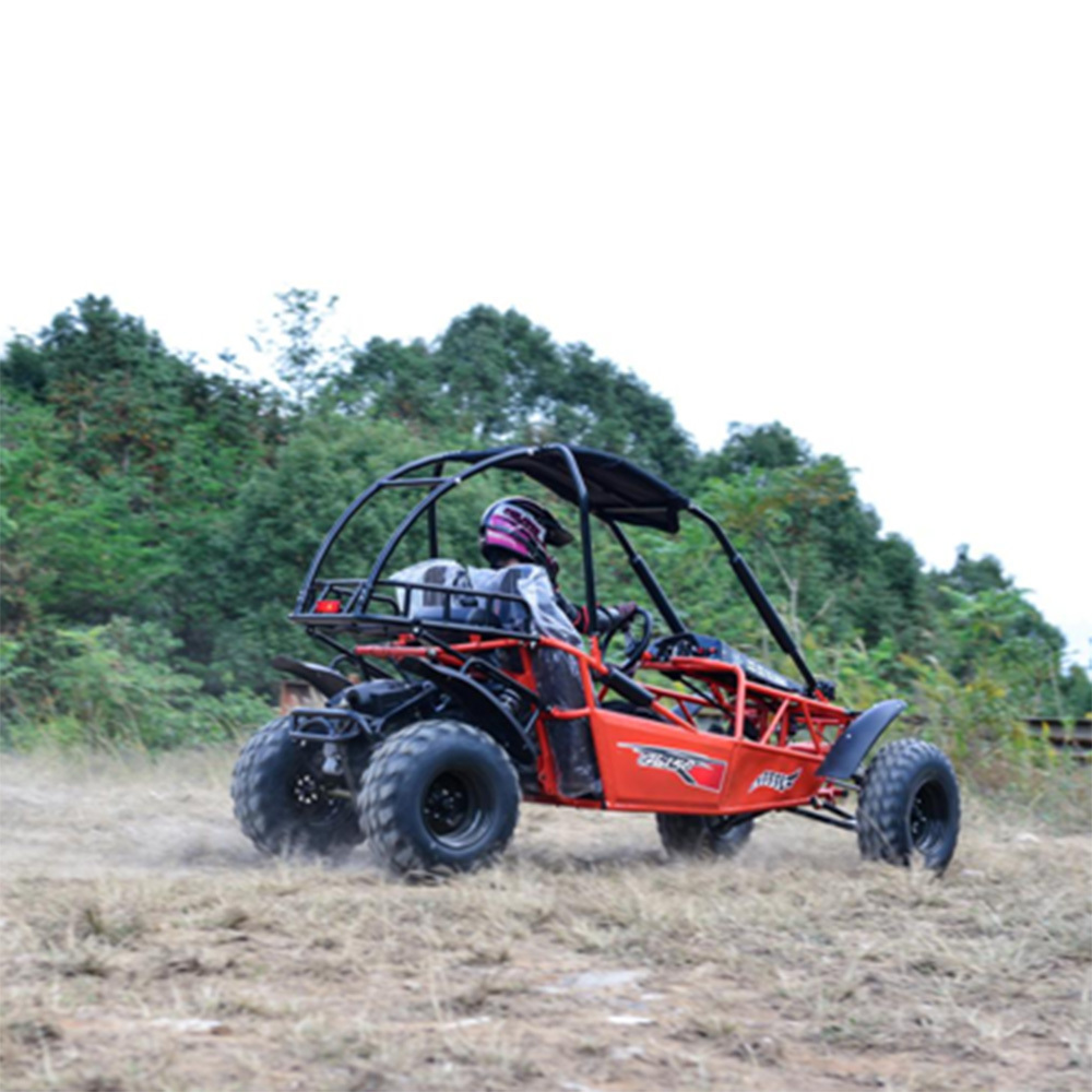 dune buggy 4wheeler off road go car 4 Stroke