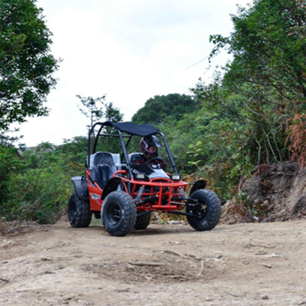 dune buggy 4wheeler off road go car 4 Stroke