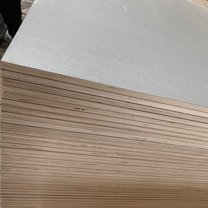 11mm 16mm 18mm high pressure laminate hpl plywood board for cabinet and furniture