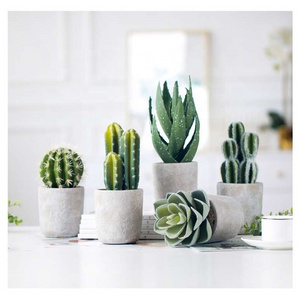 home decoration desk small square indoor succulent garden concrete clay cement plant flower pots with drainage