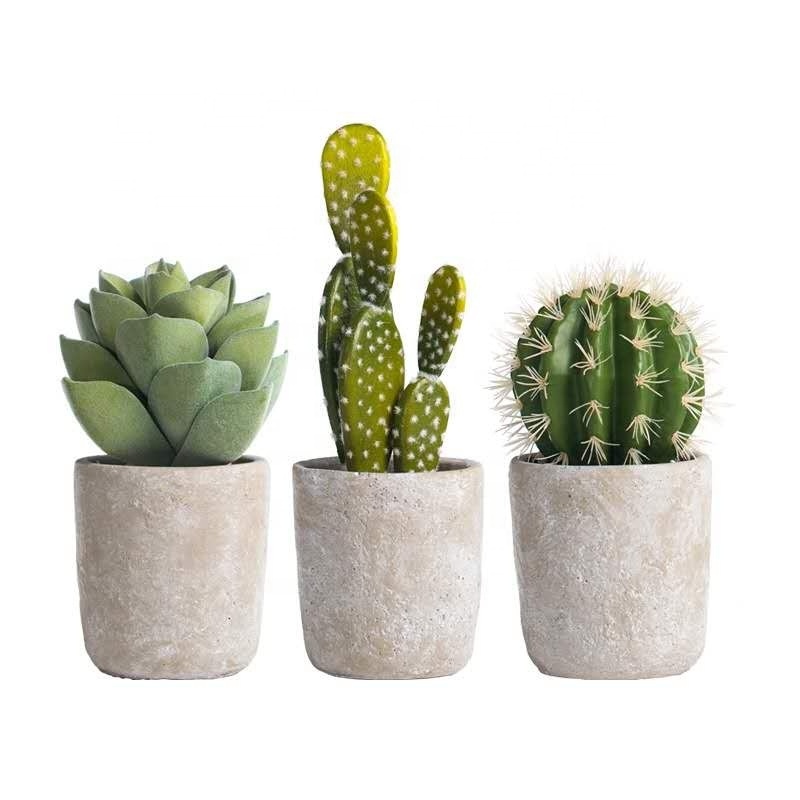 home decoration desk small square indoor succulent garden concrete clay cement plant flower pots with drainage