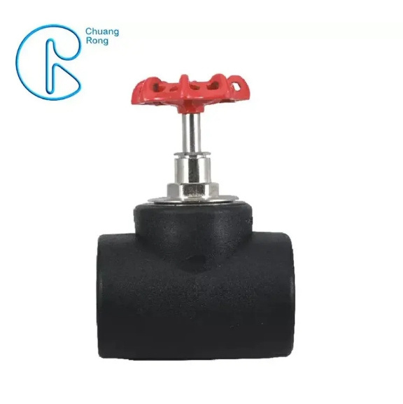 Wholesale Factory Price Hdpe Socket Fusion Fittings Water Pipe Fittings Cut Off Stop Valve