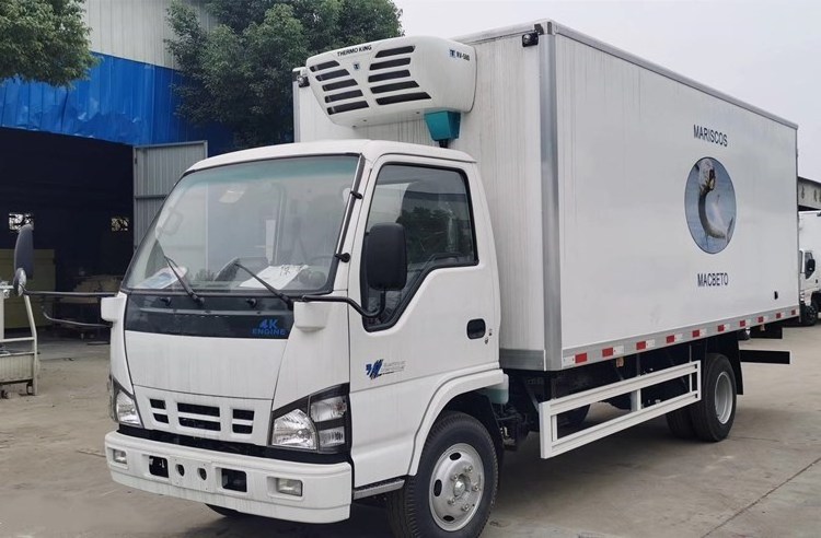 Japanese diesel Thermo King vegetable fish refrigerator van truck 5ton refrigerator chiller truck sale in South America