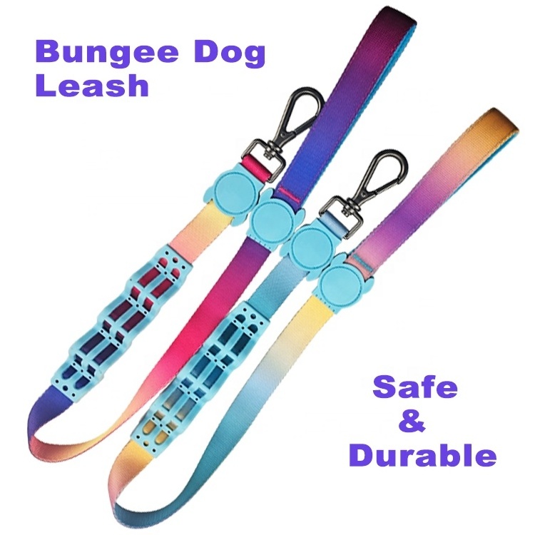 Best quality buffer heat transfer print custom pattern dog leash anti-choke dog leash for pet