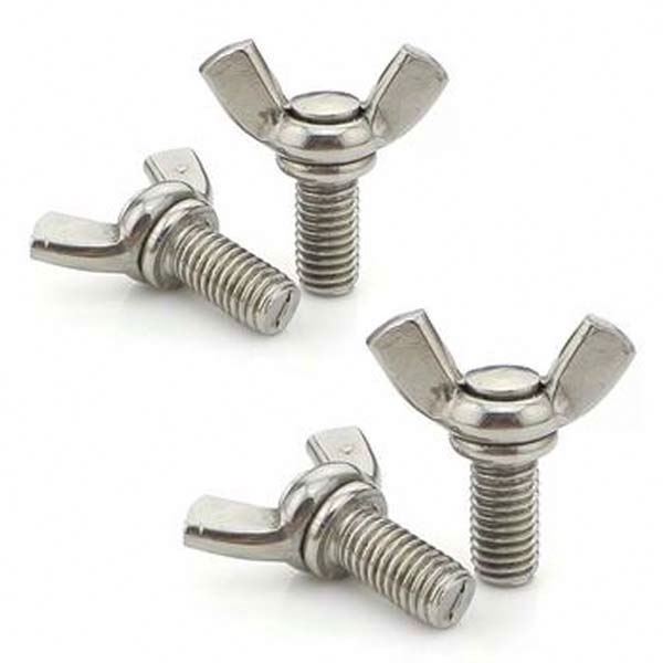 Customized stainless steel wing nuts with bolts swing bolt with nut