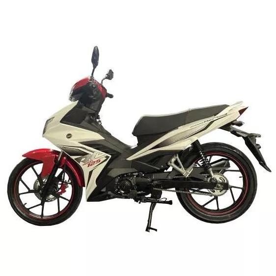 Gallop oem Bashan EEC 4 stroke engine sayan cheap 90cc 110cc 125cc  haojue motorcycle