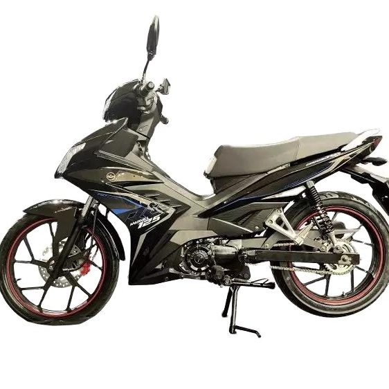 Gallop oem Bashan EEC 4 stroke engine sayan cheap 90cc 110cc 125cc  haojue motorcycle