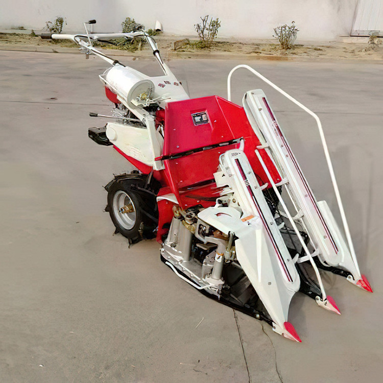 Wheat, rice, barley and oat harvesting and baling all-in-one machine