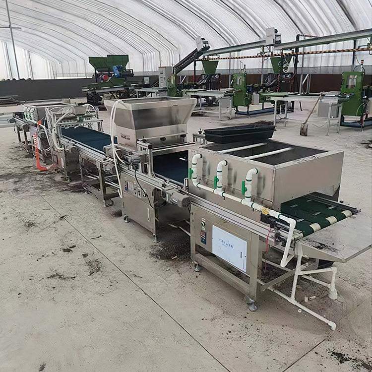 Sowing For Tray Seedling Plug Tray Planter Automatic Flowers Vegetables Seeds Tray Seeder Machine