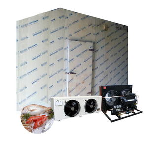 cold storage room on fishing boat frozen cold room for meat and fish cold room fish trolley