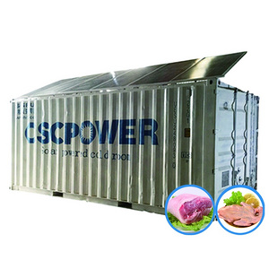 hot sale 20ft 40ft solar power freezer room cold room for all foods fish meat solar cold storage for Africa