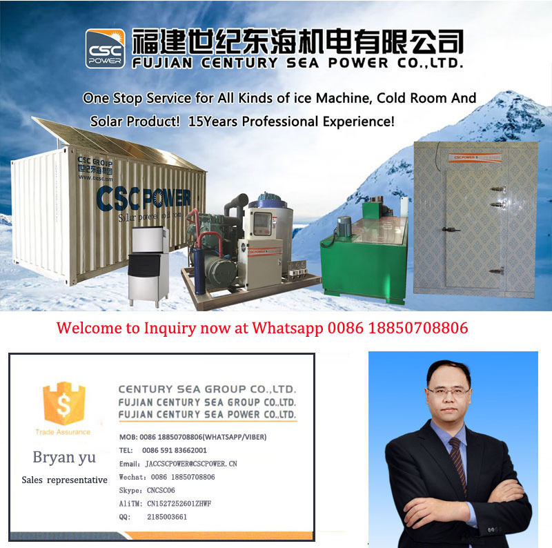 used 20ft 6 Meter Length Thermo King 20 feet Refrigerated Freezer Cooler Reefer Container for Sale