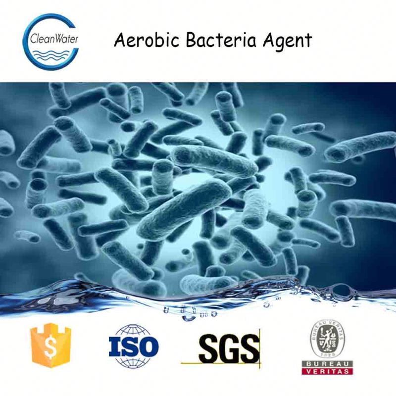 Waste Deodorization&Decontamination aerobic bacteria