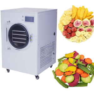 sellhigh qualityHousehold mini freeze dryer machine for food small freeze dryer