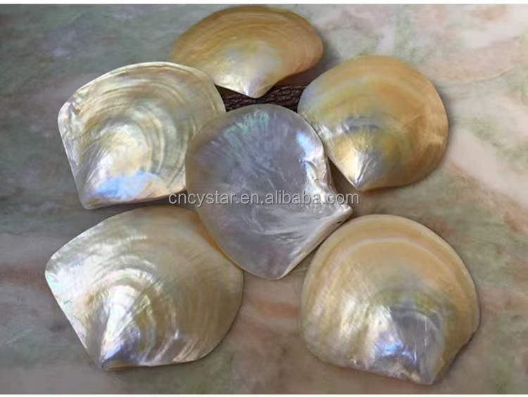 Wholesales Natural Mother Of Pearl Sea Shell Polished Yellow Lip MOP Shell