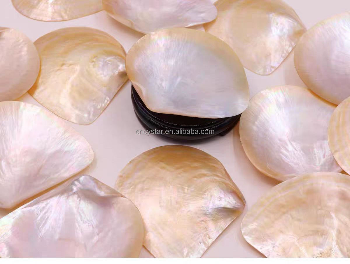 Wholesales Natural Mother Of Pearl Sea Shell Polished Yellow Lip MOP Shell