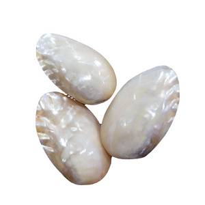 Hot Sale  6-8CM Polished Pearl Shells  Natural Crafts Giant Clam Shell For Art  Collectible Decorations Gift Jewelries