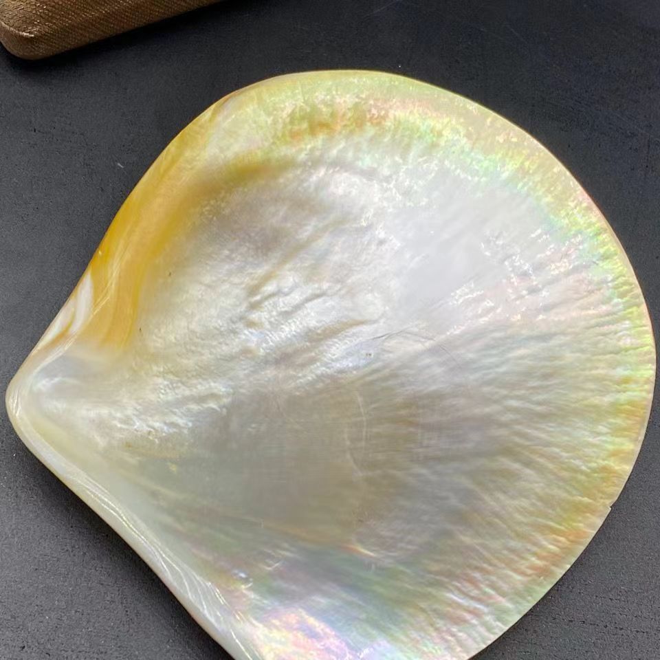 Wholesales Natural Mother Of Pearl Sea Shell Polished Yellow Lip MOP Shell