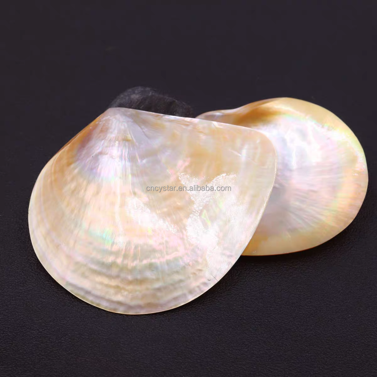 Wholesales Natural Mother Of Pearl Sea Shell Polished Yellow Lip MOP Shell